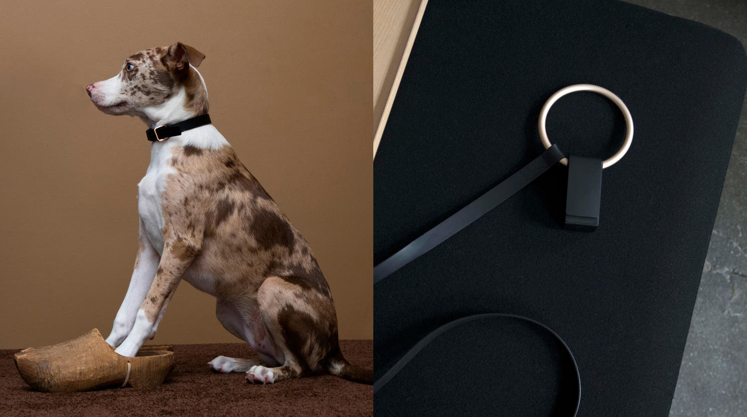 Boo oh Look Book Lifestyle Images / Lumi Collar + Leash