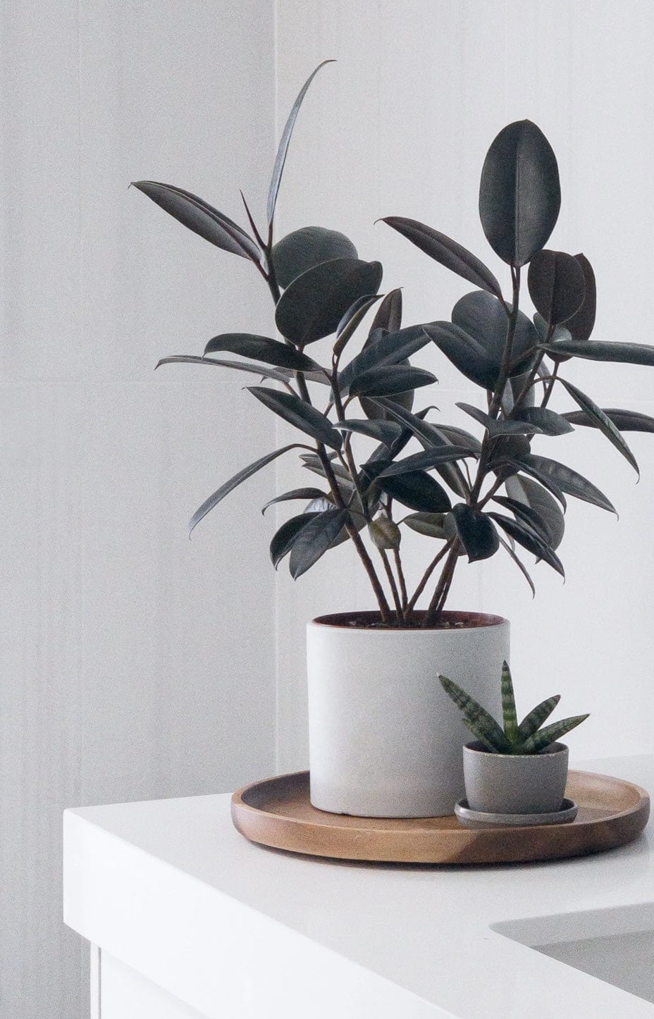 Mini Planter