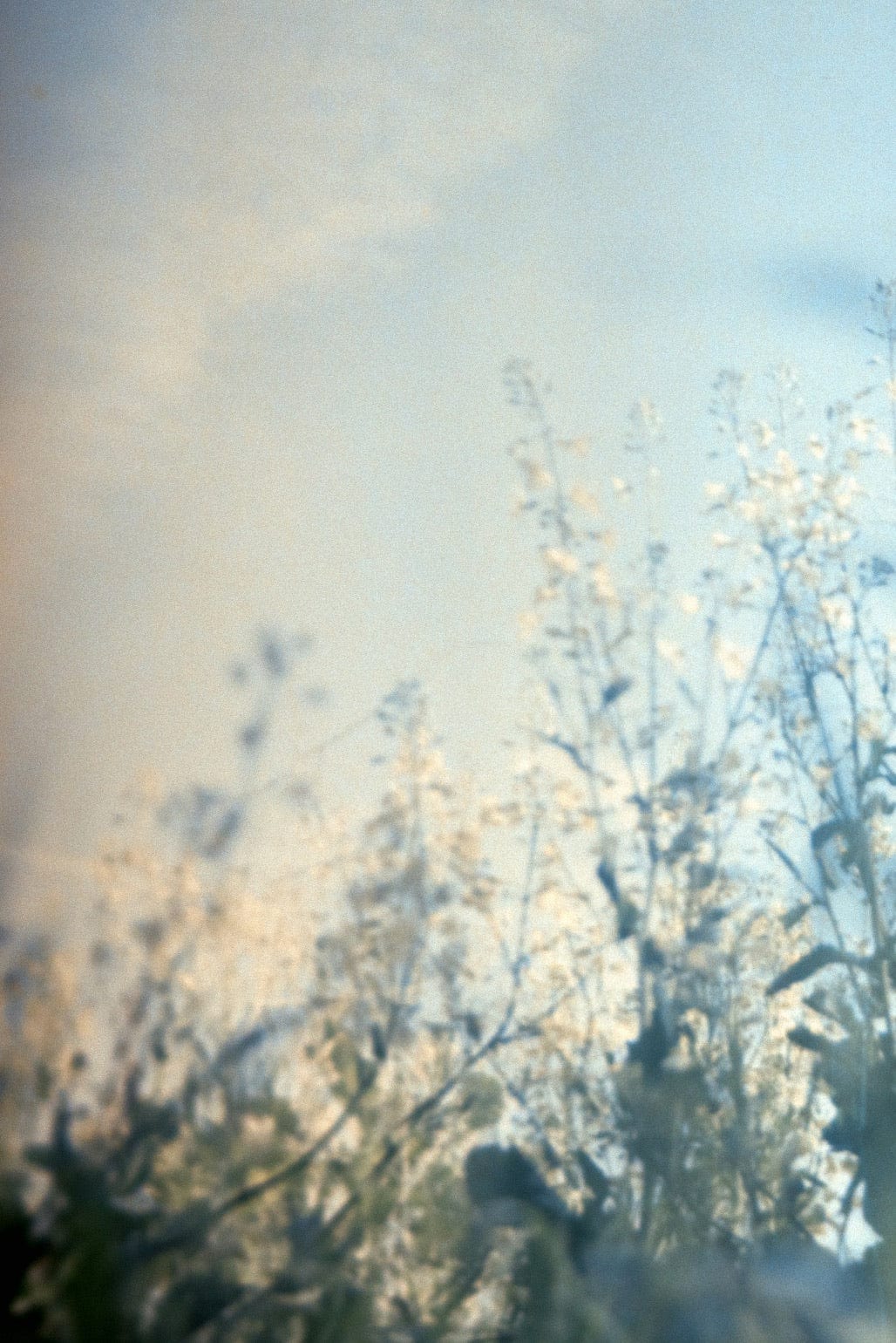 Natural Ways to Calm Down - Japandi Inspired