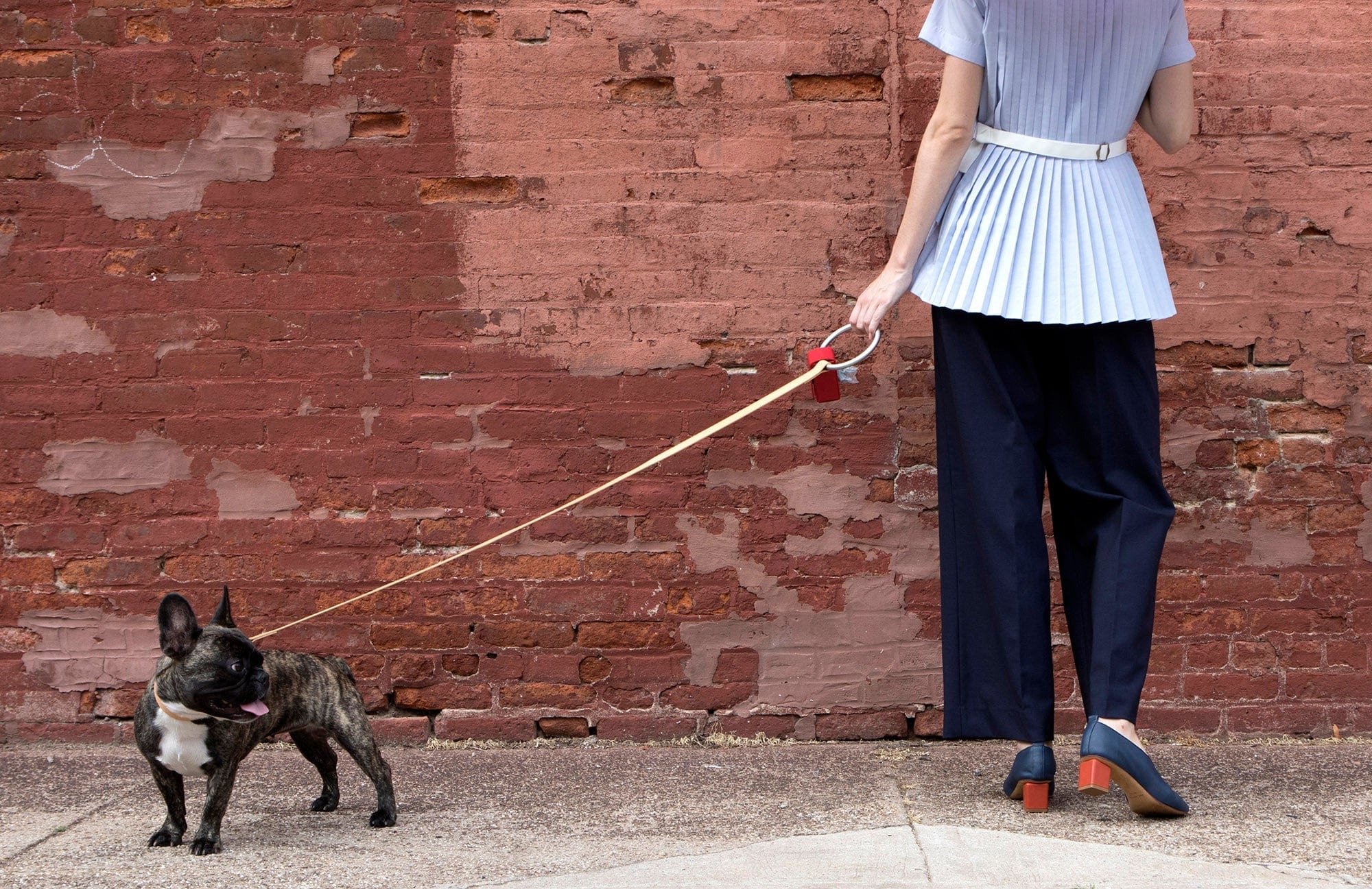 Lumi Leash and Collar Set, Silver + Tan