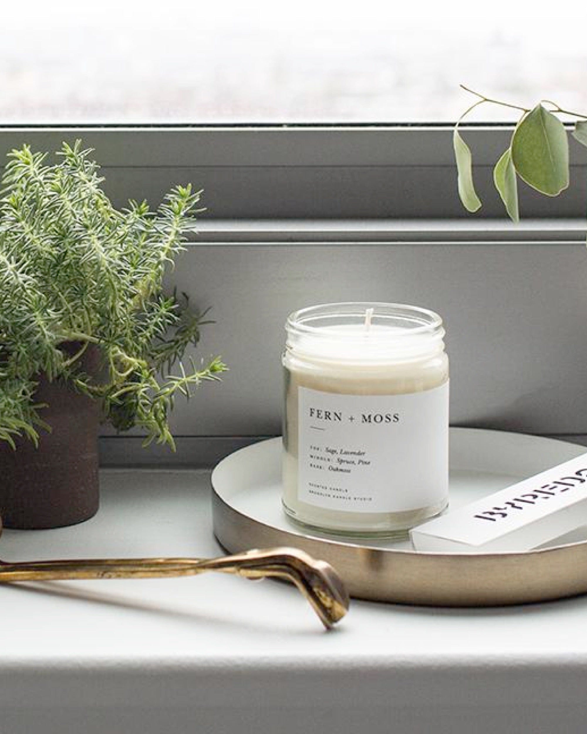 Fern + Moss Minimalist Candle