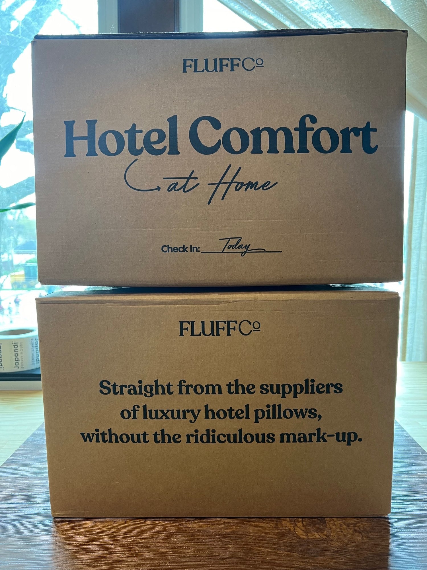 FluffCo Pillows in Box