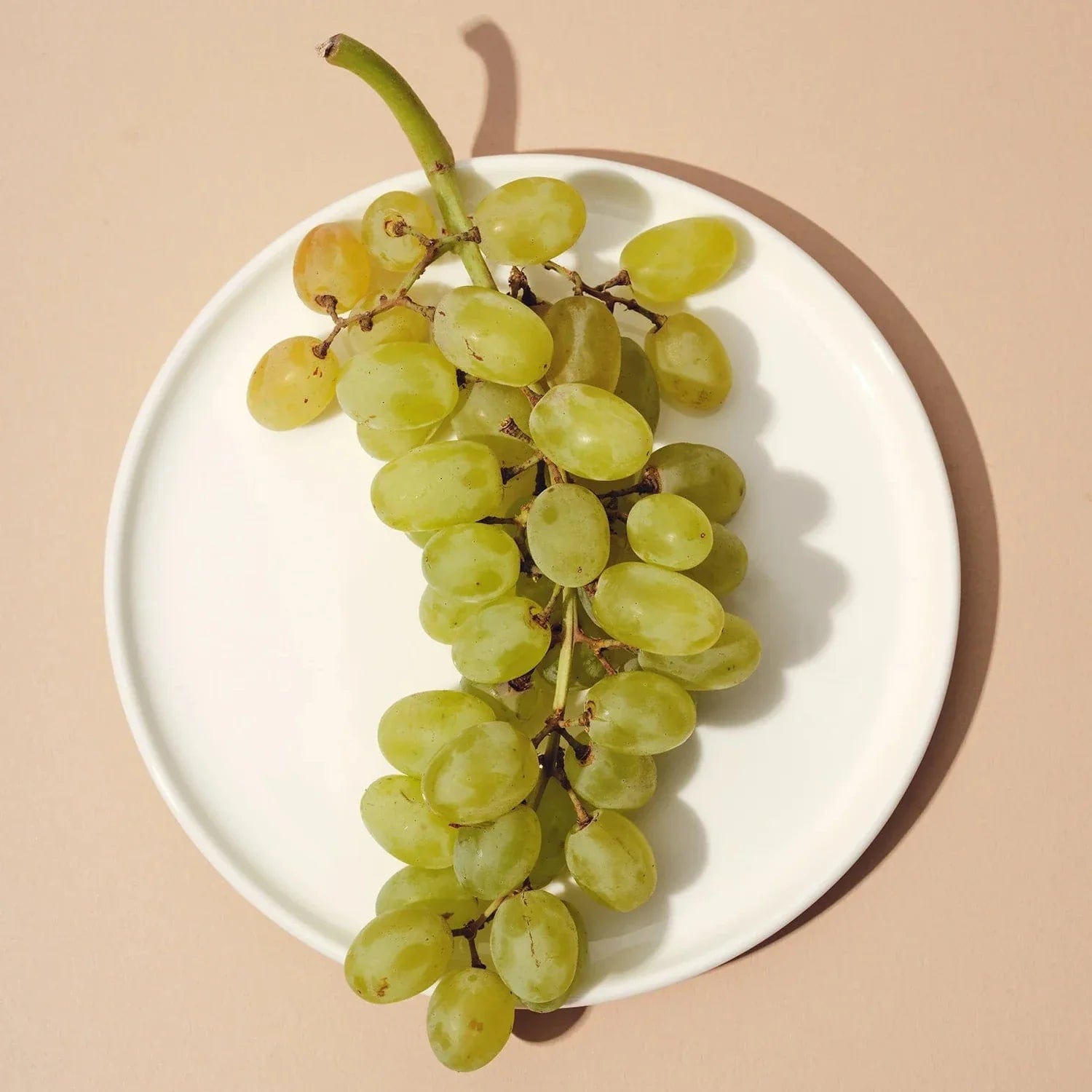 S/4 Small Plate