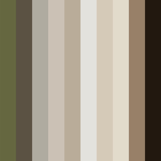 Japandi Neutral Color Palette