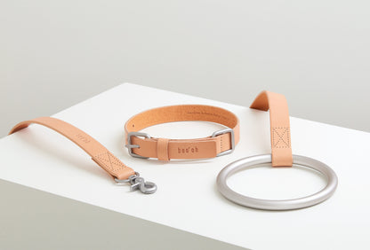 Lumi Leash and Collar Set, Silver + Tan