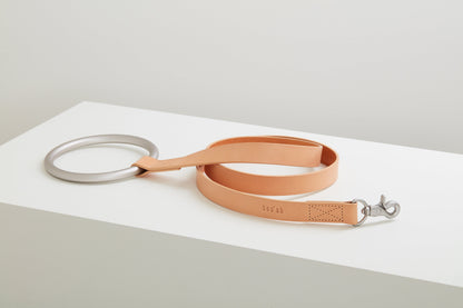 Lumi Leash and Collar Set, Silver + Tan