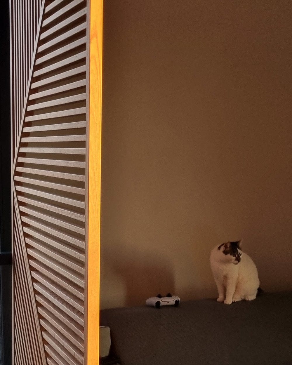 Shibuya Room Divider with cat