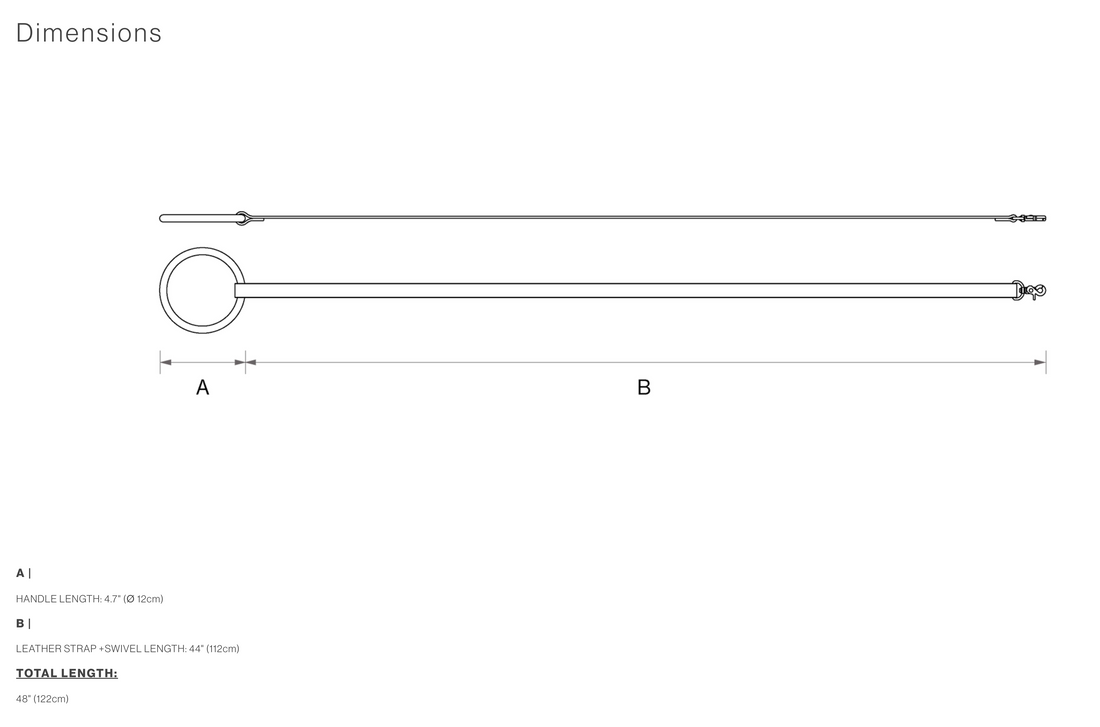 Lumi Leash, Sliver + Tan