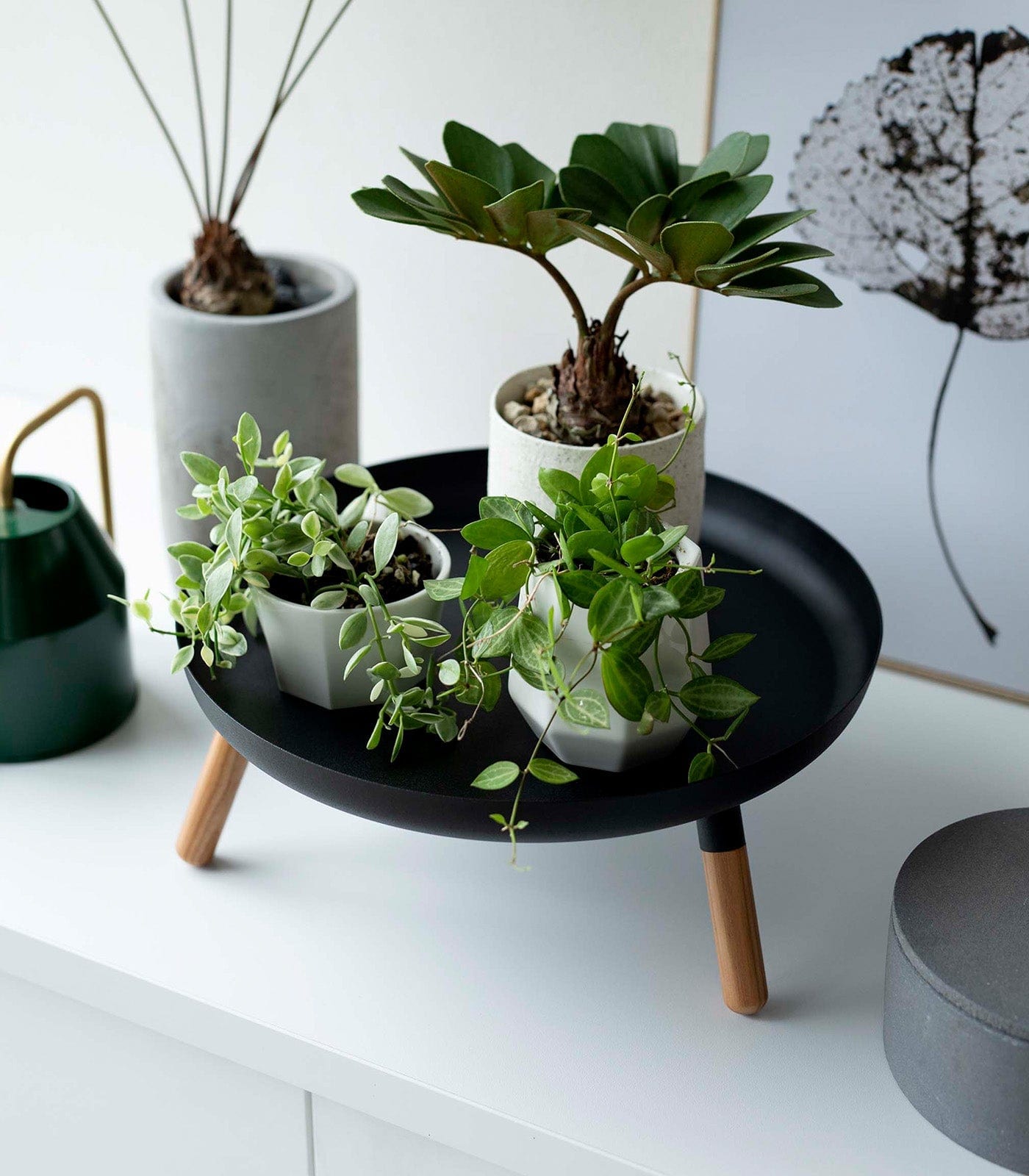 Countertop Pedestal Tray (5&quot; H)  - Steel + Wood