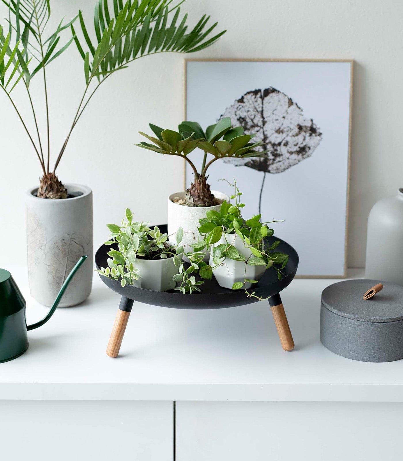 Countertop Pedestal Tray (5&quot; H)  - Steel + Wood