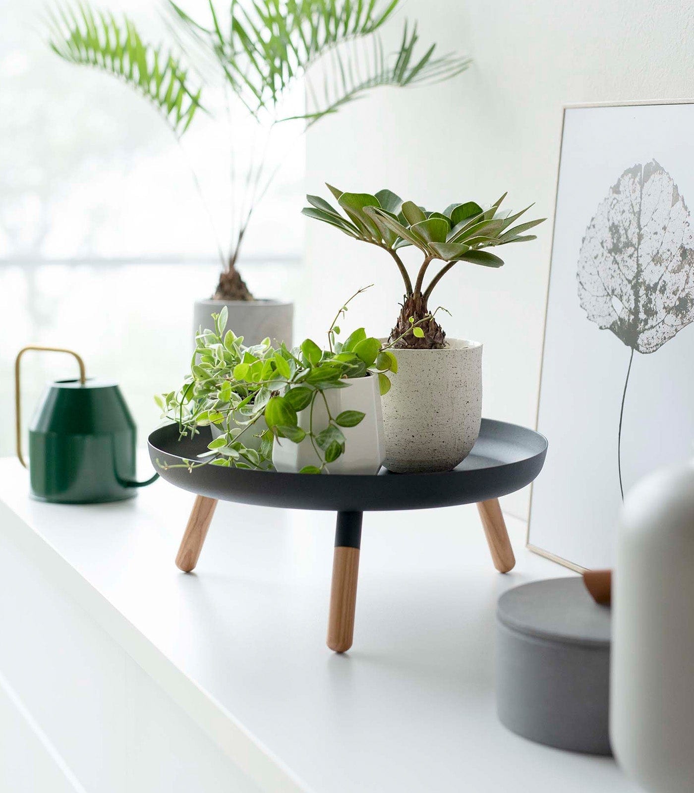 Countertop Pedestal Tray (5&quot; H)  - Steel + Wood