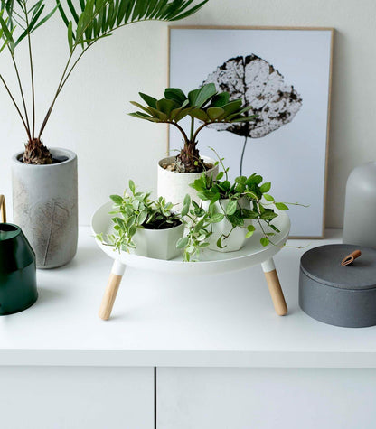 Countertop Pedestal Tray (5&quot; H)  - Steel + Wood