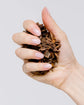 Morning Glory | Coffee Scrub Bar Soap