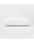 CloudSupport Pillow